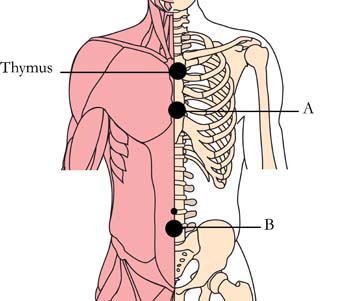 os-22-lymphatic-glandular-cell-points1.jpg