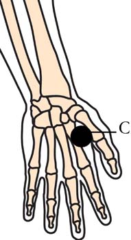 os-22-lymphatic-glandular-cell-points2.jpg