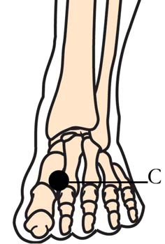 os-3-antispasmodic-cell-points3.jpg