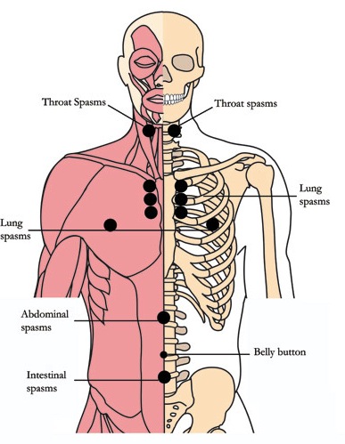 os-3-antispasmodic-cell-points4b.jpg