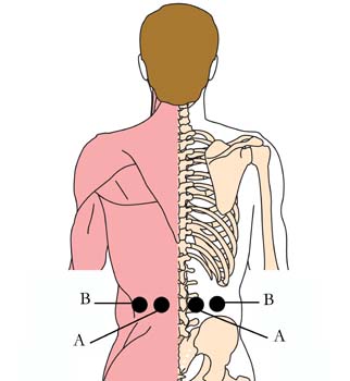 os-pro-prostate-cell-points1.jpg