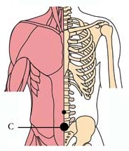 os-pro-prostate-cell-points2.jpg